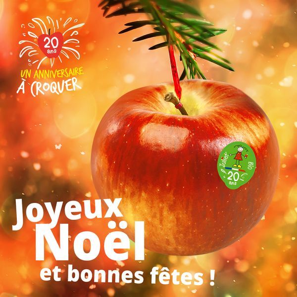 Joyeux Noël et bonnes fêtes avec Juliet !