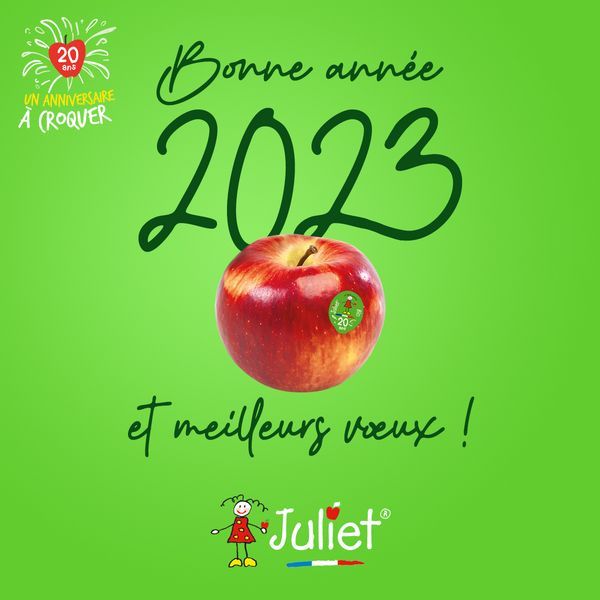 Bonne année 2023 et meilleurs vœux !