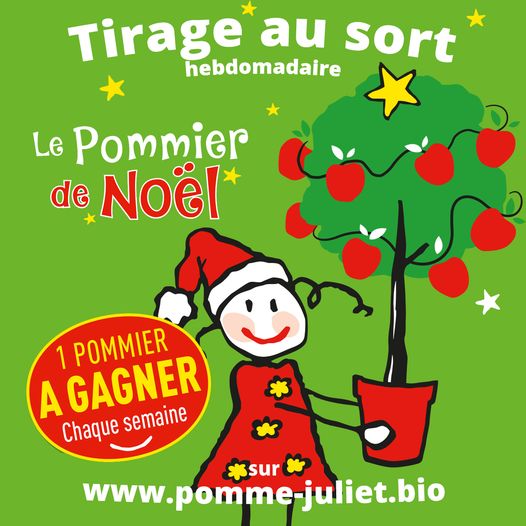 Voici le nom du neuvième gagnant du Jeu “Le Pommier de Noël Juliet”